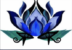 Blue Lotus Cleaning